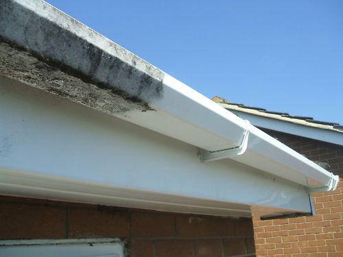 Gutter and Fascia Cleaning Brighton